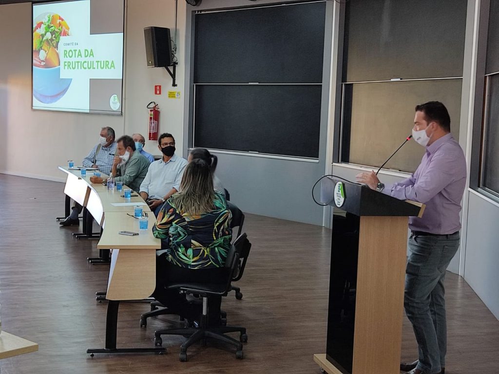 reunião em cristalina goiás
