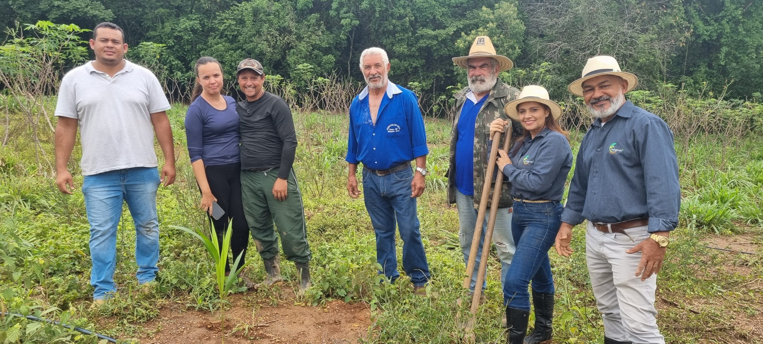 PLANTIO AÇAÍ <br/>NOVO GAMA – COOPGAM  5/12/2022