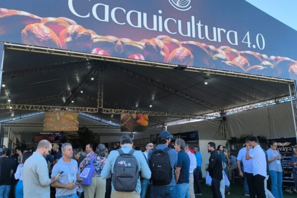 CACAU 1