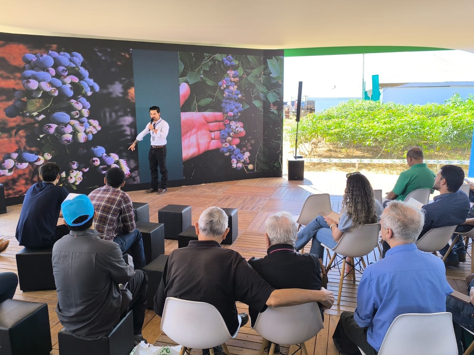 II Conexão Mirtilo movimenta a Agrobrasília 2026 – Informação técnica para os cultivadores da ROTA – DF 22 de Maio de 2026